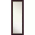 18" x 52" Non-Beveled Signore Bronze Wood on The Door Mirror - Amanti Art: Over-the-Door, Wall-Mounted
