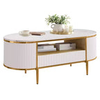 Tavolino da caffè moderno di lusso con scanalature, tavolino da caffè ovale da 120 cm con contenitore, piano in finto marmo, design a profilo curvo, gambe e maniglie in metallo dorato, bianco