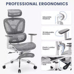 Sedia da Ufficio Ergonomica Acekool