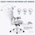 Sedia da Ufficio Ergonomica Acekool