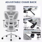 Sedia da Ufficio Ergonomica Acekool