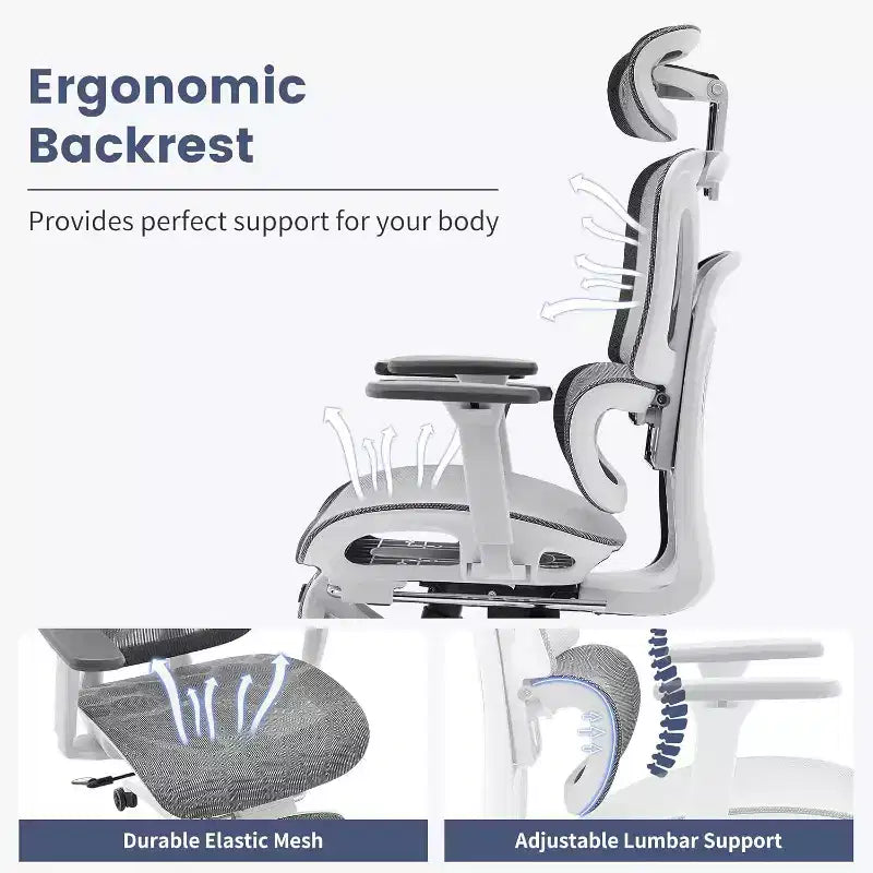 Sedia da Ufficio Ergonomica Acekool