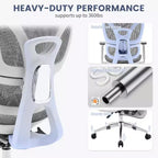 Sedia da Ufficio Ergonomica Acekool