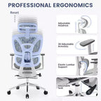 Sedia da Ufficio Ergonomica Acekool