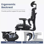 Sedia da Ufficio Ergonomica Acekool