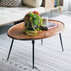 GDFStudio Noyes Acacia Wood and Iron Oval Coffee Table