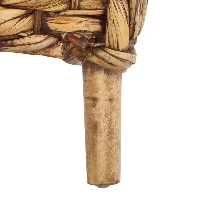 Poltrona Accento Purrl Hyacinth con Cuscino - ACH6533 - Safavieh