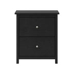Comodini Galano a 2 cassetti, set da 2 con contenitore 47,5 L x 39,9 P x 55,4 H cm