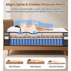 Materasso Queen in memory foam, 14 pollici con gel in scatola, sollievo dalla pressione zonale, schiume e tessuto certificati sicuri, design rinfrescante e traspirante, medio-rigido