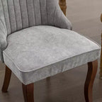 Set di 2 sedie da pranzo Okak Rayon Cloth Flocking Linen, sedie da pranzo imbottite con gambe curve in legno massello, sedie da cucina per sala da pranzo