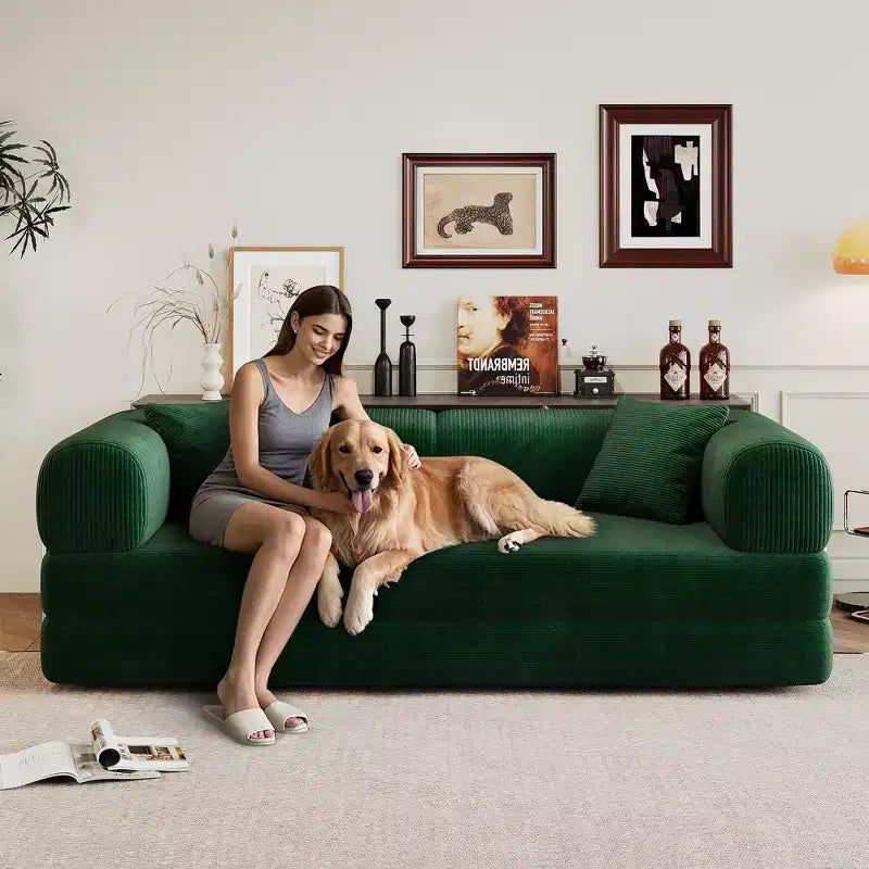 Divano Letto Moderno Convertibile FurnitureR con Materasso Estraibile, Divano Imbottito con Seduta Profonda per Soggiorno, Camera degli Ospiti o Appartamento